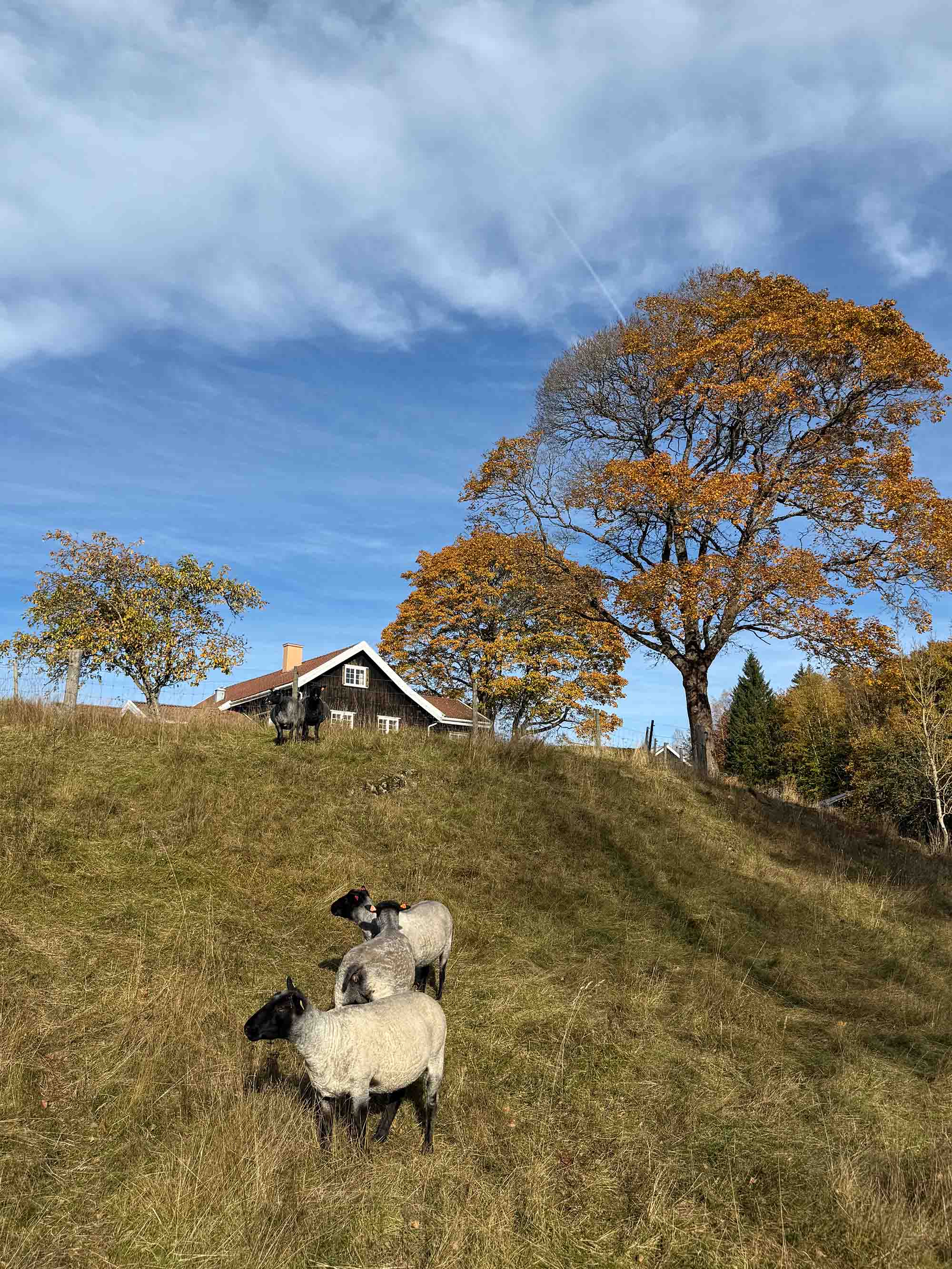 Yarn from Kulerød Gård