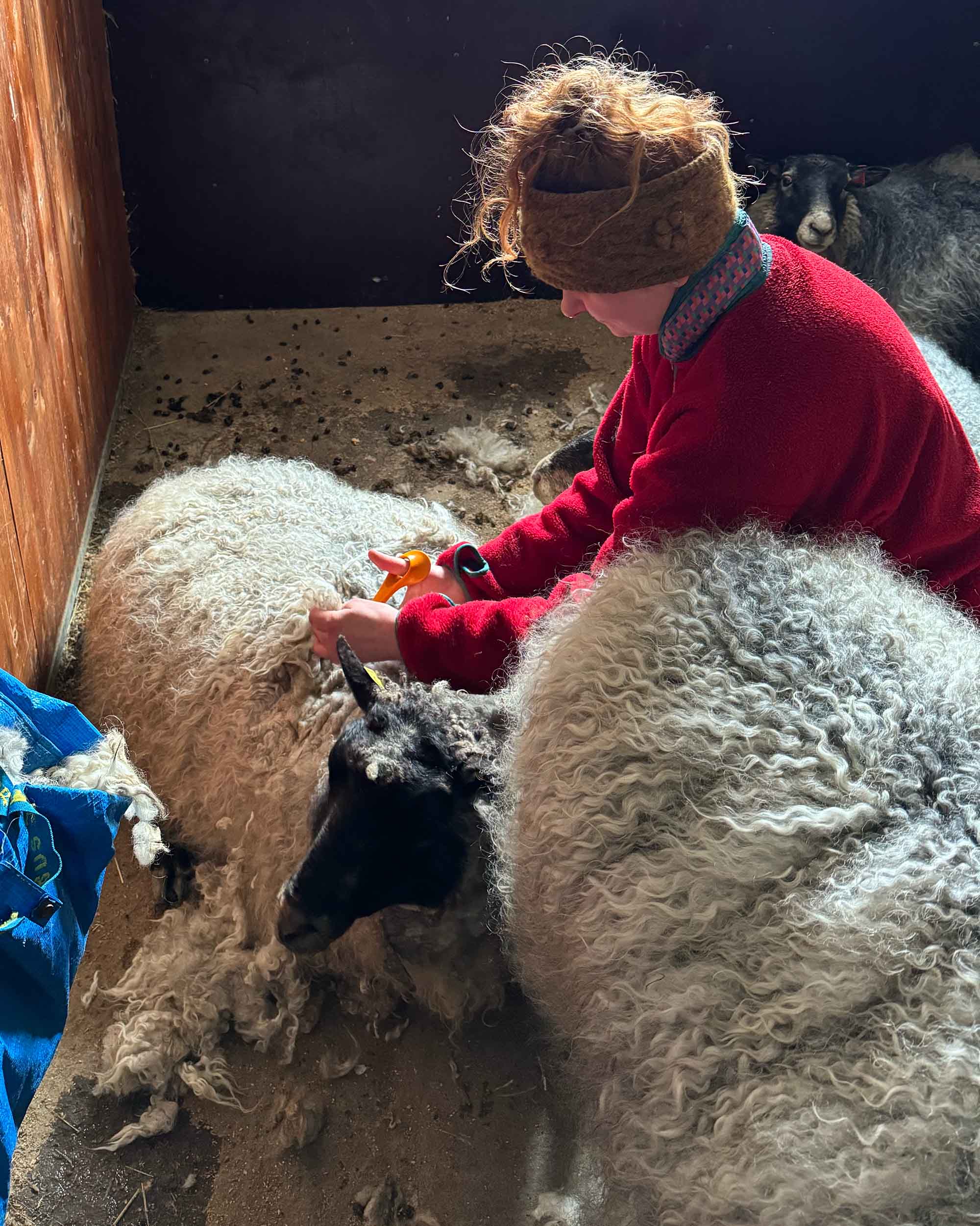 Yarn from Kulerød Gård