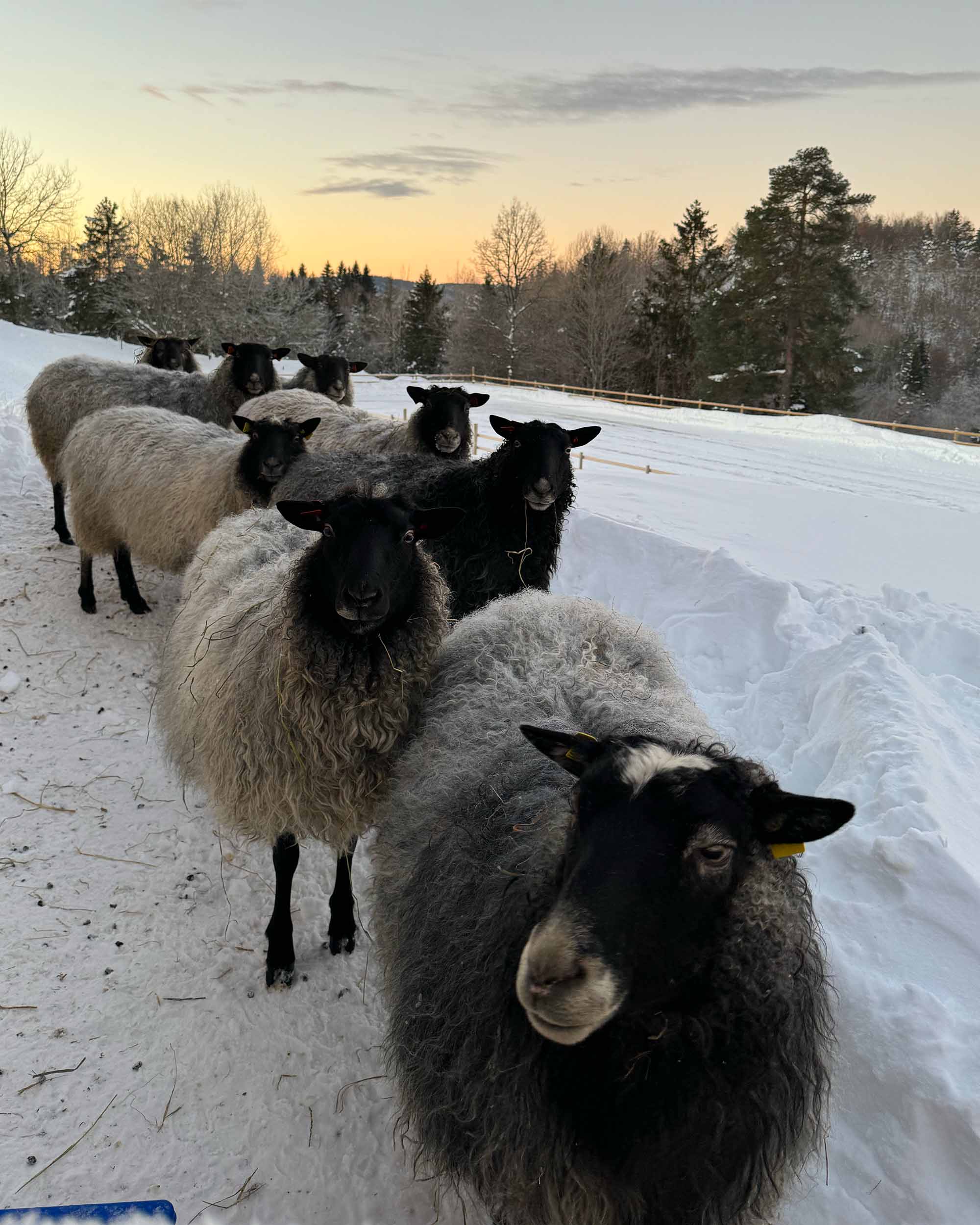 Yarn from Kulerød Gård