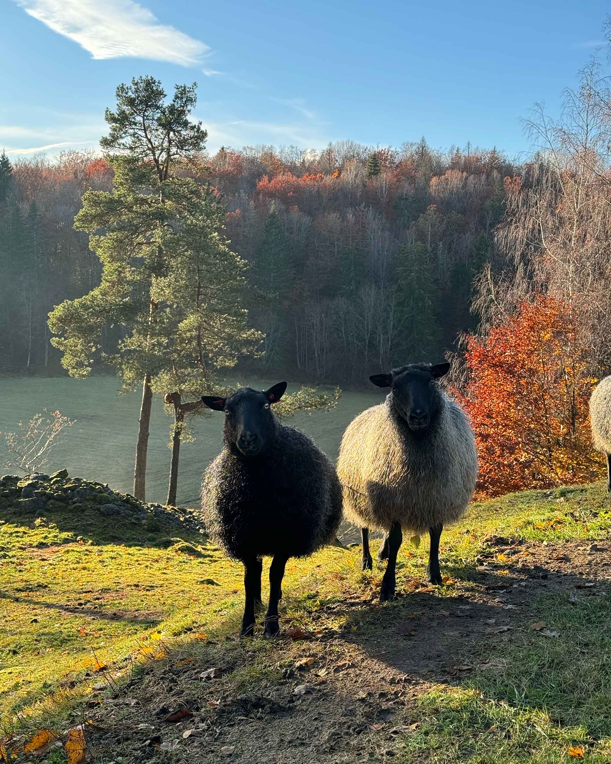 Yarn from Kulerød Gård