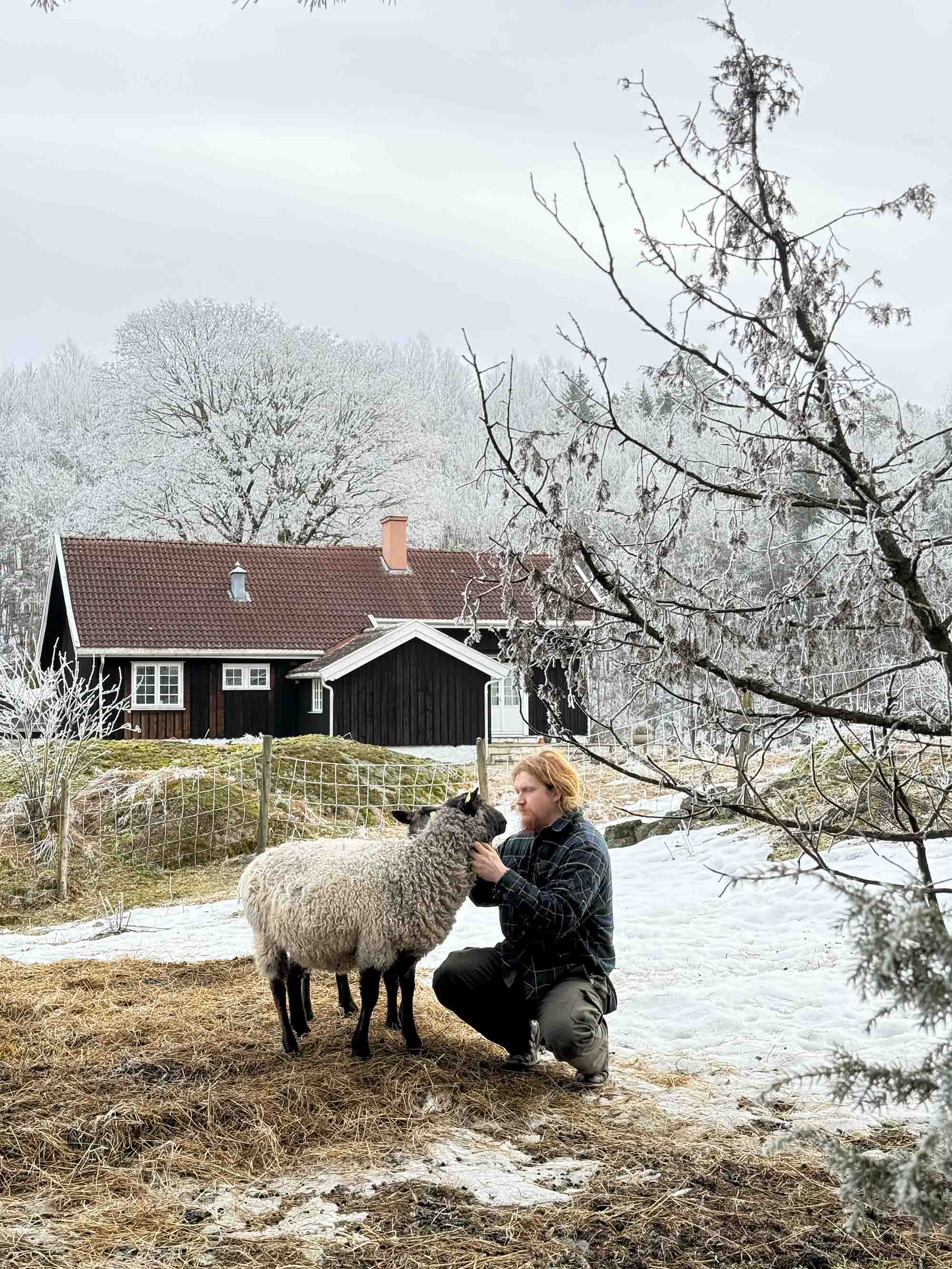 Yarn from Kulerød Gård