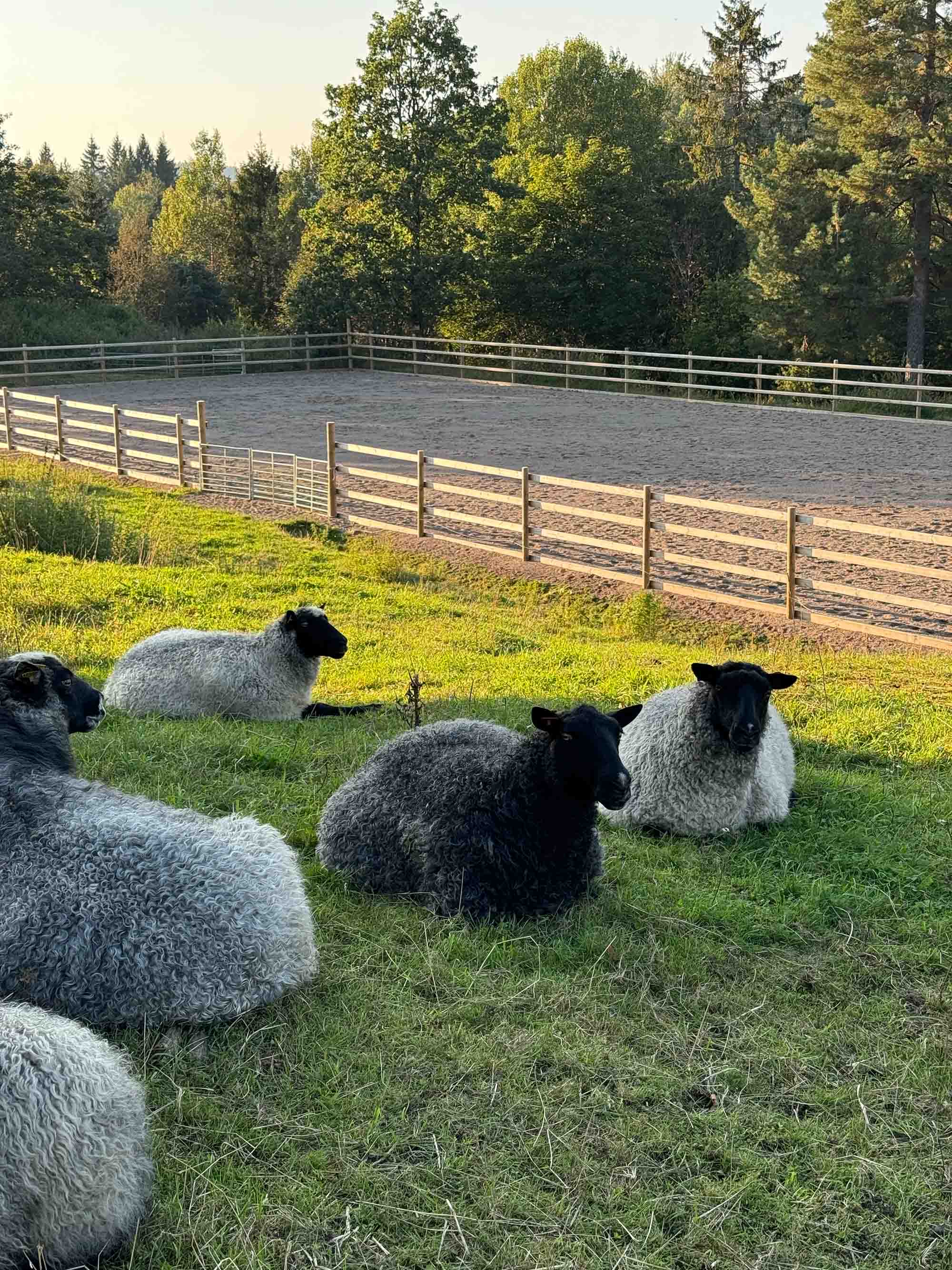 Yarn from Kulerød Gård